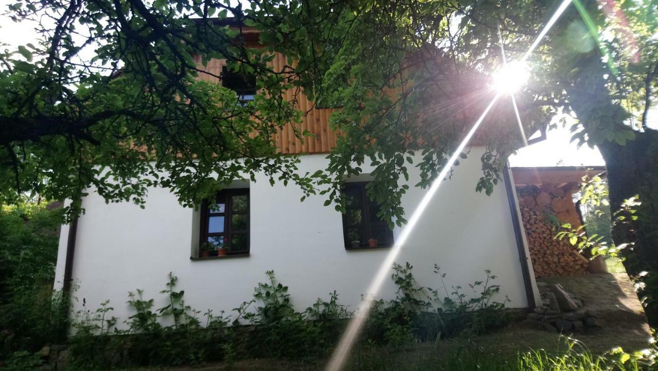 Forest Rustic Apartment Brdy Vesin Exterior foto